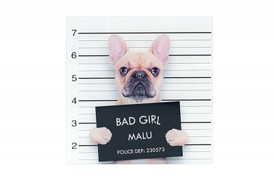 Obraz szklany Bad Girl   - Kare Design